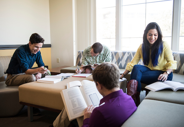 A group of honors scholars studying together