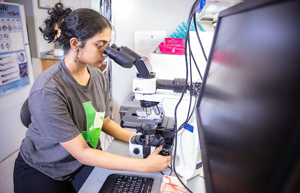 A TAMS student looks at a petri dish through a microscope